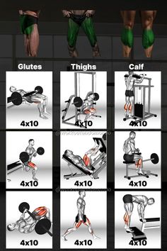 the different types of muscles are shown in this graphic diagram, and each has their own weight