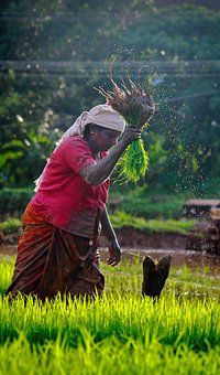 a woman is in the middle of a field spraying water on her head with grass