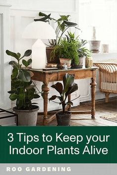 a table with potted plants on it and the words 3 tips to keep your indoor plants alive