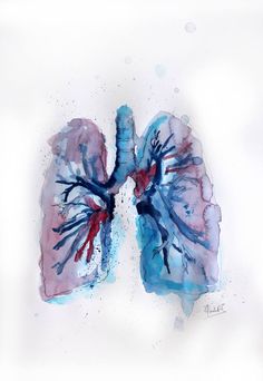 the lungs are painted in blue, red and white watercolors on a white background