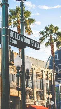 the street sign for hollywood blvd is posted on a lamp post with palm trees in the background