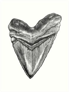 an animal's teeth are shown in this black and white drawing, which is part of