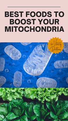 How To Heal Mitochondria, Biohacking Recipes, Mitochondria Diet, Quantum Biology, Wellness Era, Cellular Healing, Metaphysical Quotes, Mitochondrial Health