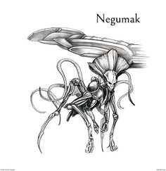 a black and white drawing of an insect with the words negunak on it