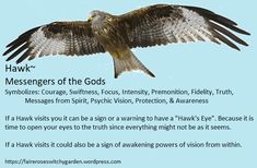 a hawk flying through the sky with words below it that read,'hawk messengers of the gods '