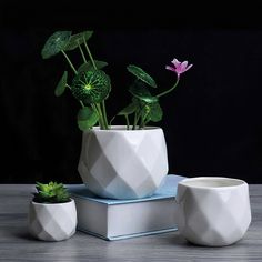 three potted plants sitting on top of each other