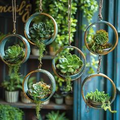 hanging planters filled with succulents and plants in circular metal pots on chains