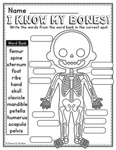 a skeleton worksheet with the words i know my bones