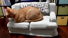 an orange cat sitting on top of a white chair in front of a window and bookshelf