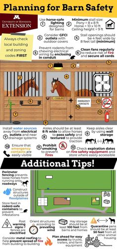 an info sheet describing the different types of horses in their pen and how they can use them