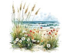 watercolor painting of flowers and grass on the beach