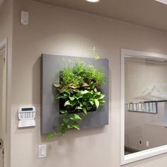 a wall mounted planter in the corner of a room with a phone on it