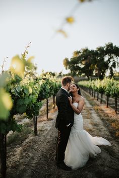 a bride and groom standing in the middle of a vineyard