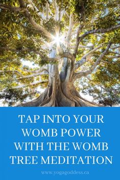 a tree with the words tap into your women's power with the womb tree meditation