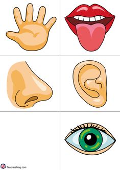 four different types of mouth and eye shapes