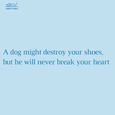 a dog might destroy your shoes, but he will never break your heart