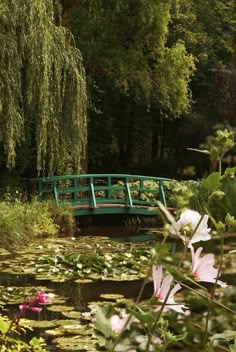 a green bridge over water with lily pads in the foreground and trees in the background