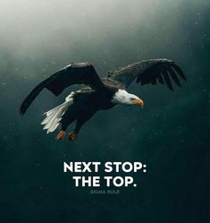 an eagle flying through the air with text next stop the top