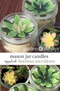 mason jar candles with beeswax succulents are the perfect gift for someone special