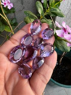 Amethyst Faceted Purple Amethyst, 15 - 20 Carat. cabochon Gemstone free size Lot Oval mix Shape Loose Gemstone For Jewelry Making. Name   :-  Natural Amethyst lot Shape  :-  Mix Size      :-  25 to 30 MM. Weight  :-  15 to 20 Carat DSK GEMS STUDIO OFFER NEVER BEFORE:- :- 70% SALE FLAT OFF ON WHOLE SHOP  :- FREE STANDARD SHIPPING ON 35$ ORDER. :- FREE DRILLING FACILITY AVAILABLE. :- FREE SURPRISE GIFT ON EVERY ORDER. :- FREE SURPRISE GEMSTONE BEADS STRAND ON 75$ ORDER. :- FREE SURPRISE GEMSTONE PENDENT ON 100$ ORDER :- FREE EXPRESS SHIPPING BEAUTIFUL GEMSTONE PENDENT ON 150$ ORDER . :- FREE SURPRISE GEMSTONE EARRINGS & PENDENT ON 200$ ORDER :- FREE EXPRESS SHIPPING SURPRISE GEMSTONE BRACELET EARRINGS & PENDENT ON 300$ ORDER. :- FREE EXPRESS SHIPPING & GEMSTONE BRACELET & PENDENT & EARRINGS Surprise Gift, February Birth Stone, Bead Strand, Surprise Gifts, Gemstone Bracelet, Purple Amethyst, Gemstone Earrings, Ring Earrings, Gemstone Beads