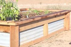 a wooden planter filled with lots of plants on top of dirt covered ground next to a field