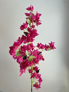 a vase with pink flowers in it sitting on a table next to a white wall