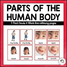 parts of the human body with pictures and instructions for each child's body, including their