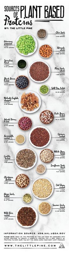 Proteins Chart, Natural Meals, Plant Based Foods, Plant Based Protein Sources, Plant Based Eating, Wild Rice, Diet Keto