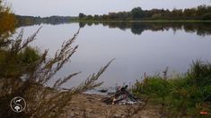 a campfire on the shore of a lake