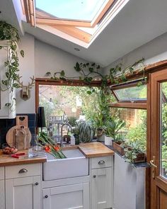 a kitchen with a skylight above the sink and plants on the windowsills