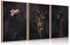 PRICES MAY VARY. Moody Dark Floral Wall Art : This floral wall art, showcasing three wilted Floral Print set against a dark backdrop, exudes a simplicity that's both elegant and substantial. Its understated design makes it a versatile piece for home decor or as a thoughtful and stylish gift for a friend Minimalist Black Wildflower Wall Decor Pictures : Elevate your space with this minimalist wildflower wall decor with its dark elements set against elegant hues. Whether you're looking to adorn a Wildflower Wall, Bed Wall Decor, Moody Decor, Flower Canvas Wall Art, Salon Suites, Floral Wall Art Canvases, Botanical Decor, Wall Decor Pictures, Flower Canvas