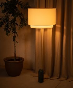 a lamp that is next to a potted plant