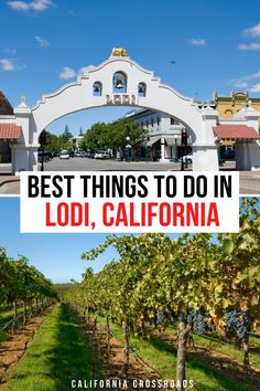 Top photo is the Lodi arch, a white archway with a bell and the word "Lodi." Bottom photo is a vineyard full of grape vines. Text reads "best things to do in Lodi, California" Lodi California Wineries, Lodi California, Moving Van, California Trip, Travel California, Central America Travel