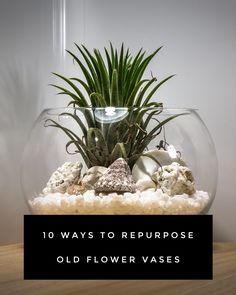 an aquarium with plants and rocks in it on top of a wooden table that says 10 ways to repurpose old flower vases