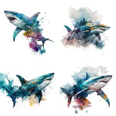 four watercolor paintings of sharks in different colors and sizes, with splashes on them