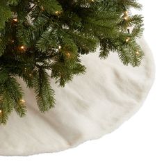 a close up of a christmas tree with lights on it's branches and a white background