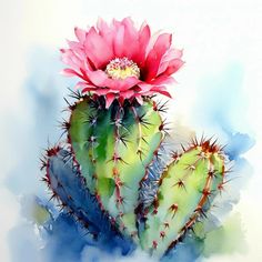 watercolor painting of three cactus plants with pink flowers