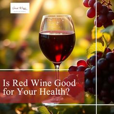 Is Red Wine Good for your Health? It Could Be Better Than Statins!
​
​https://greatwinesdirect.co.uk/blogs/wine-blog/is-red-wine-good-for-health
​
​#winestagram #winelovers #winetime #winelover #vineyard #wineoclock #instawine #vinho #winetasting #vino #wineporn #wines #redwinehealth #winecountry #wein #vinhos #wineo #wineglass #redwine #whitewine #foodandwinepairing