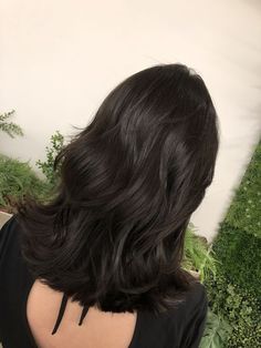 Black Hair Wavy Medium, Dark Cool Toned Brown Hair, Neutral Black Hair, Almost Black Brown Hair, Medium Length Haircut Black, Cute Curled Hairstyles For Medium Hair, Cool Brown Hair Color Dark, All Over Dark Brown Hair Color, Dark Medium Hair