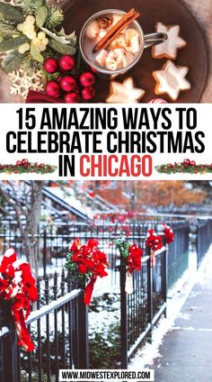 15 Amazing Ways to Celebrate Christmas in Chicago Chicago In Winter, Christmas Chicago, Christmas In Chicago, Chicago Christmas, Chicago Things To Do, Things To Do In Chicago, Winter Travel Destinations, Travel Christmas, German Christmas Markets