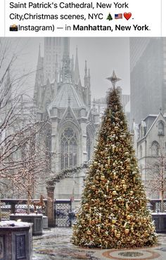 a large christmas tree in front of a cathedral