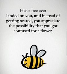 a bee with the words, has a bee ever landed on you, and instead of getting scared, you appreciate the posibly that you got confused for a flower