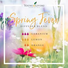 Living Oils Recipes, Yl Oils