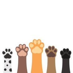 four different colored cats paws with one paw raised up and the other paw extended out