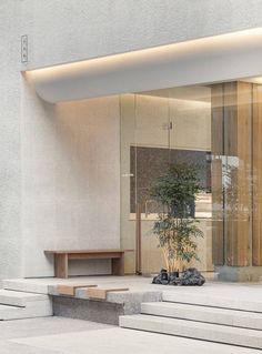 the entrance to a building with steps leading up to it and a potted plant in front