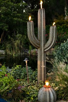 a large cactus plant sitting in the middle of a garden