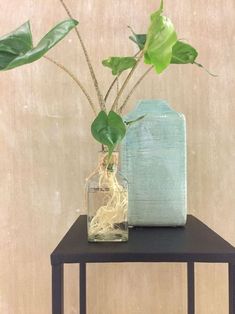 a plant in a vase sitting on top of a table next to a glass container