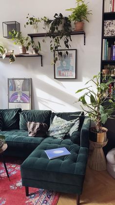 a living room filled with furniture and lots of plants on the wall above it's couch