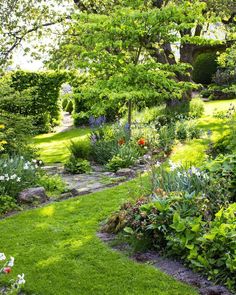 a garden with lots of green grass and flowers