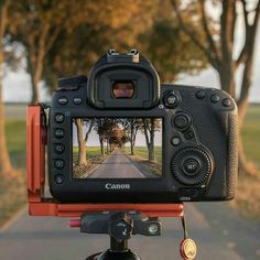 a camera is on top of a tripod in front of some trees and an empty road